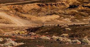 milan足球：不是所有的后卫都叫特伦特。